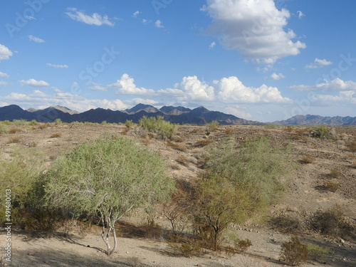 The beautiful scenery of the Desert landscape, Ehrenberg, Quartzsite, Arizona.