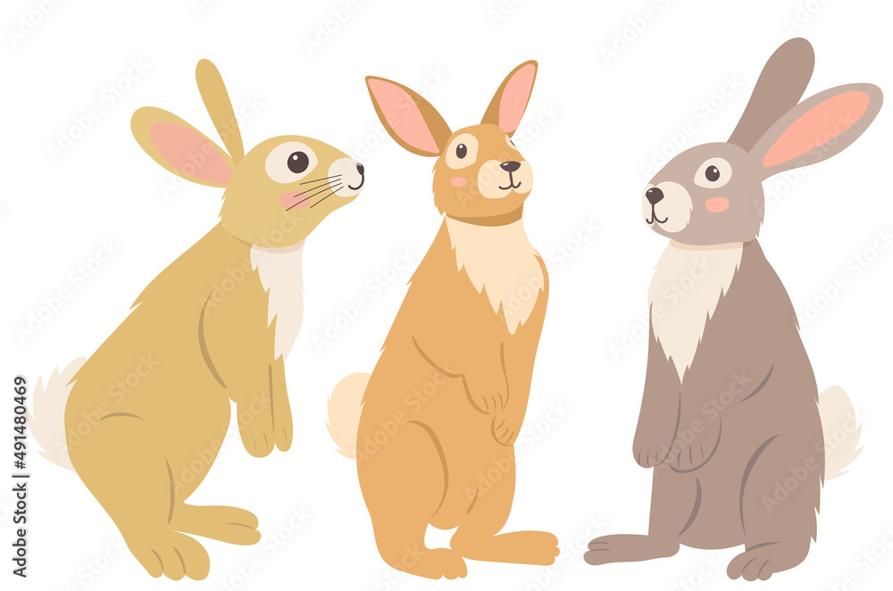hares, rabbits design in flat style, isolated