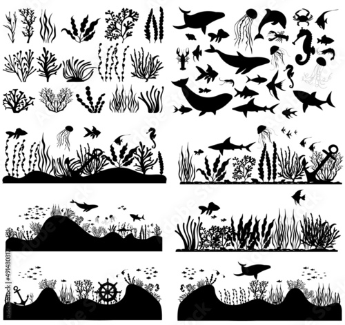 set of sea bottom, algae, fish black silhouette, isolated vector