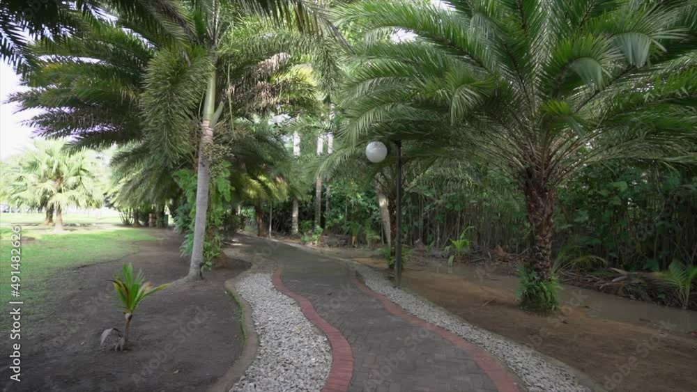 Tropical island hotel resort walkway through palm trees, luxury seaside resort Tropical island hotel resort walkway through palm trees, luxury seaside resort
