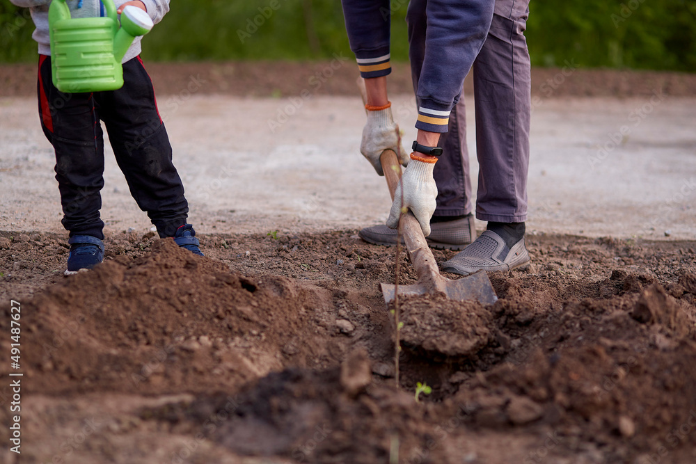 A man and boy planting a tree in the garden. Spring work. Volunteering. child High quality photo A man and boy planting a tree in the garden. Spring work. Volunteering. child High quality photo