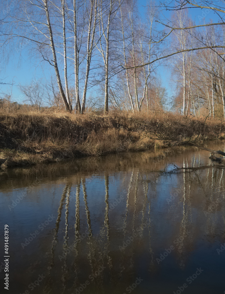 trees reflecting in the water
trees reflecting in the water