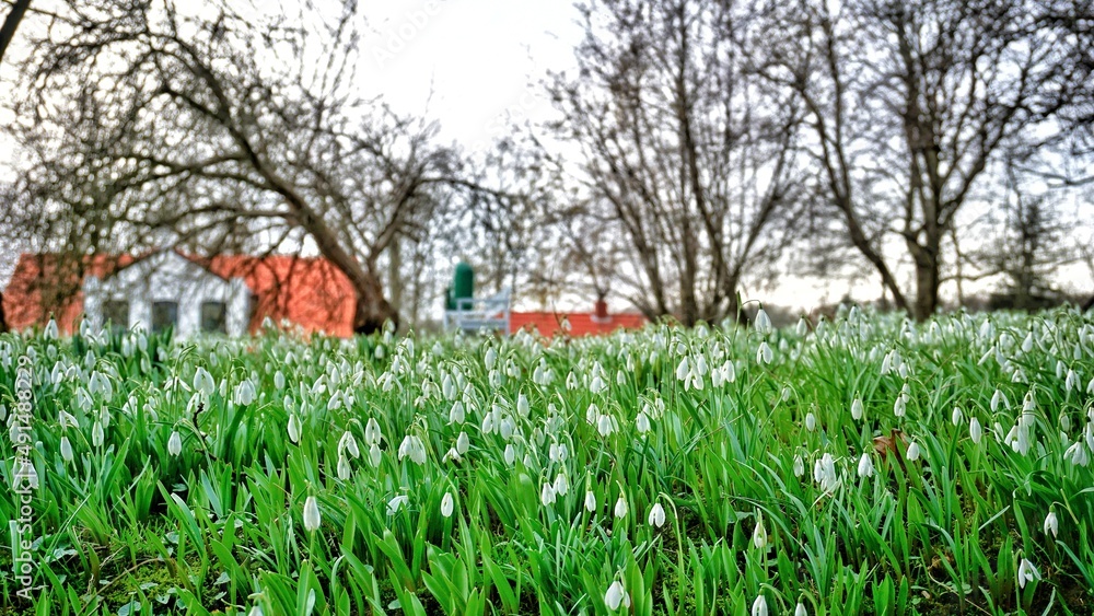 spring in the park spring in the park