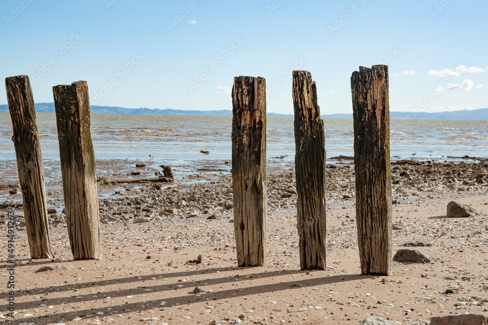 Old weathered jetty posts standing in row on beach casting shadow on sand Old weathered jetty posts standing in row on beach casting shadow on sand
