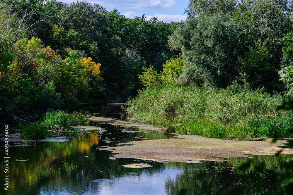 Calm river lake surface with green trees Calm river lake surface with green trees