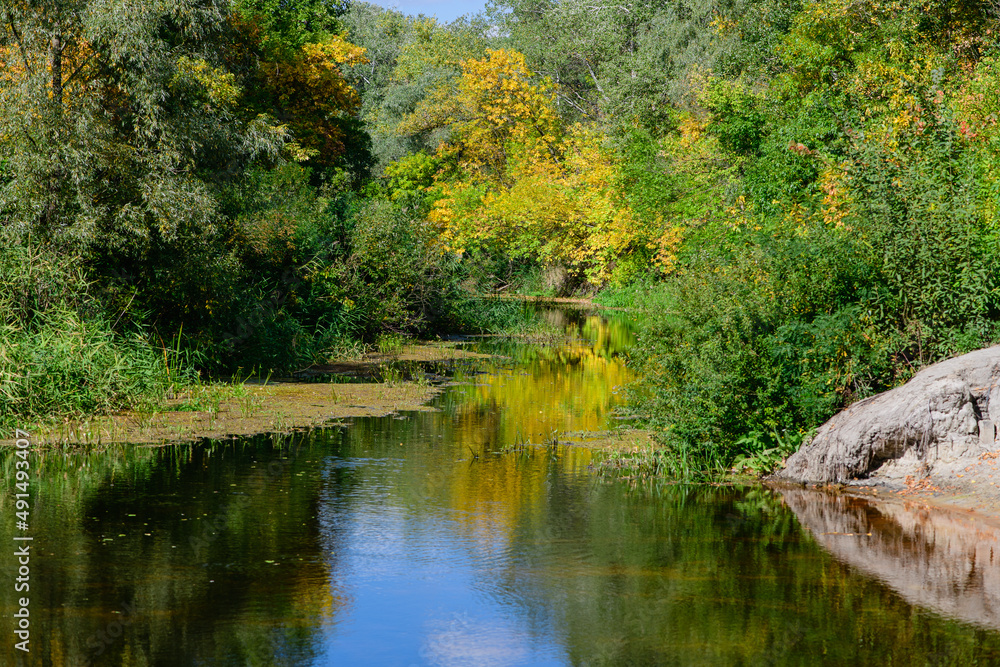 Scenic view of landscape with forest river. Scenic view of landscape with forest river.