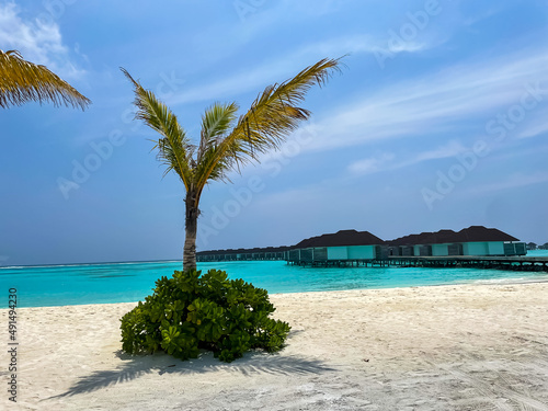 Maldives tropic beach with palm and bungalow  © Antonina