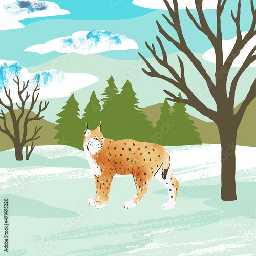 Vector winter landscape with lynx, snow and forest. Cute hand draw vector Illustration with tree, plants and animal for print, banner, card