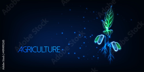 Futuristic Agriculture concept with glowing low polygonal plant sprouts isolated on dark blue