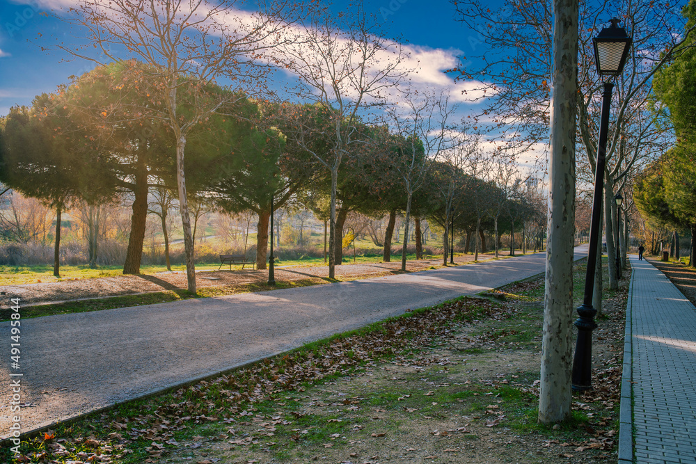 Obraz premium Beautiful scenery. The path of the city park. Concept of healthy, metropolitan, sport and fun life