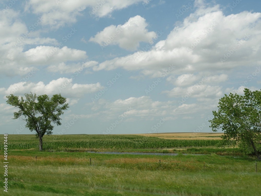 Farmlands along US Highway 90 with two trees and a small pond..