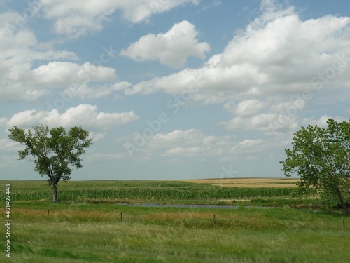 Farmlands along US Highway 90 with two trees and a small pond.. © raksyBH