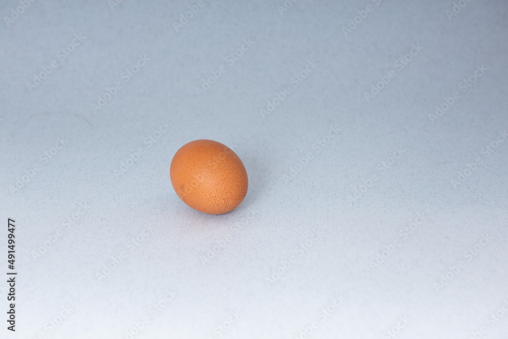 chicken egg on a gray background chicken egg on a gray background