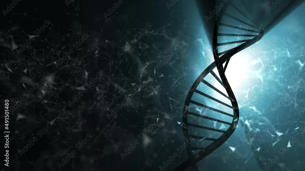 Rotating of three-dimensional dna molecule on artistic dark copy space animation background.
Rotating of three-dimensional dna molecule on artistic dark copy space animation background.