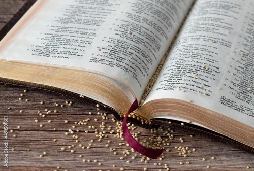 Mustard seeds on wooden table with open Holy Bible Book. Christian biblical concept of strong faith, trust, and hope in God Jesus Christ. Mustard seed parable from the gospels. A closeup. photo