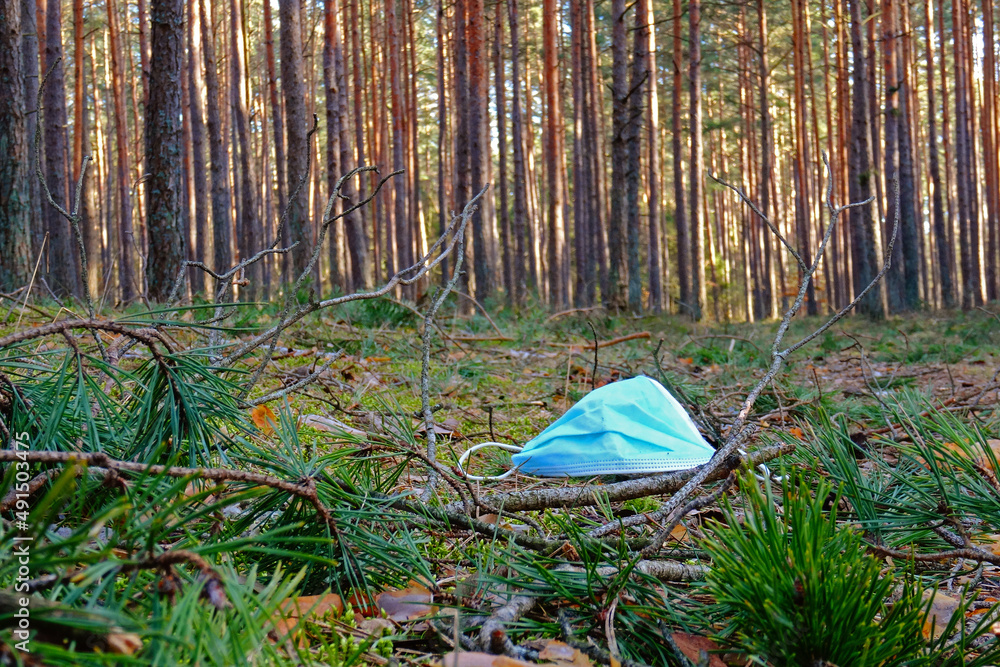 Maska covidowa w w lesie - obrazy, fototapety, plakaty 