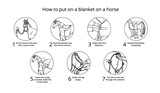 How to put on a blanket on a horse. Instruction in cartoon style.