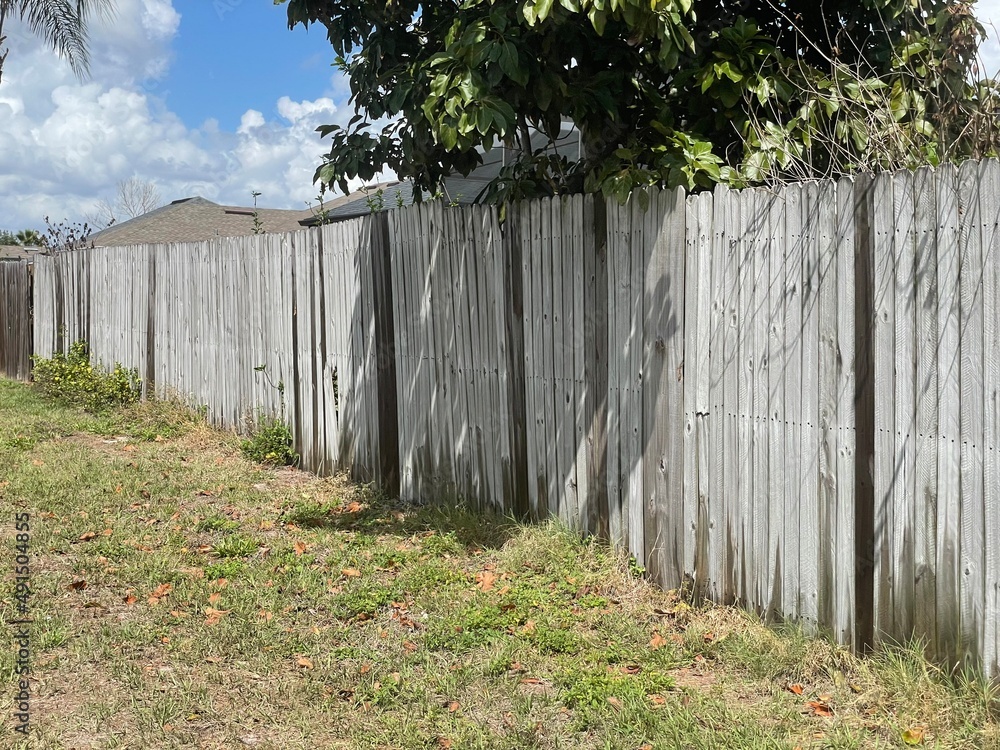 fence