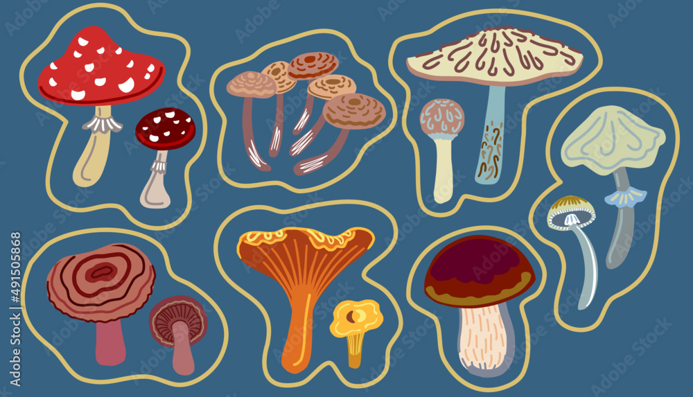 Set of cartoon edible and poisonous mushrooms Set of cartoon edible and poisonous mushrooms