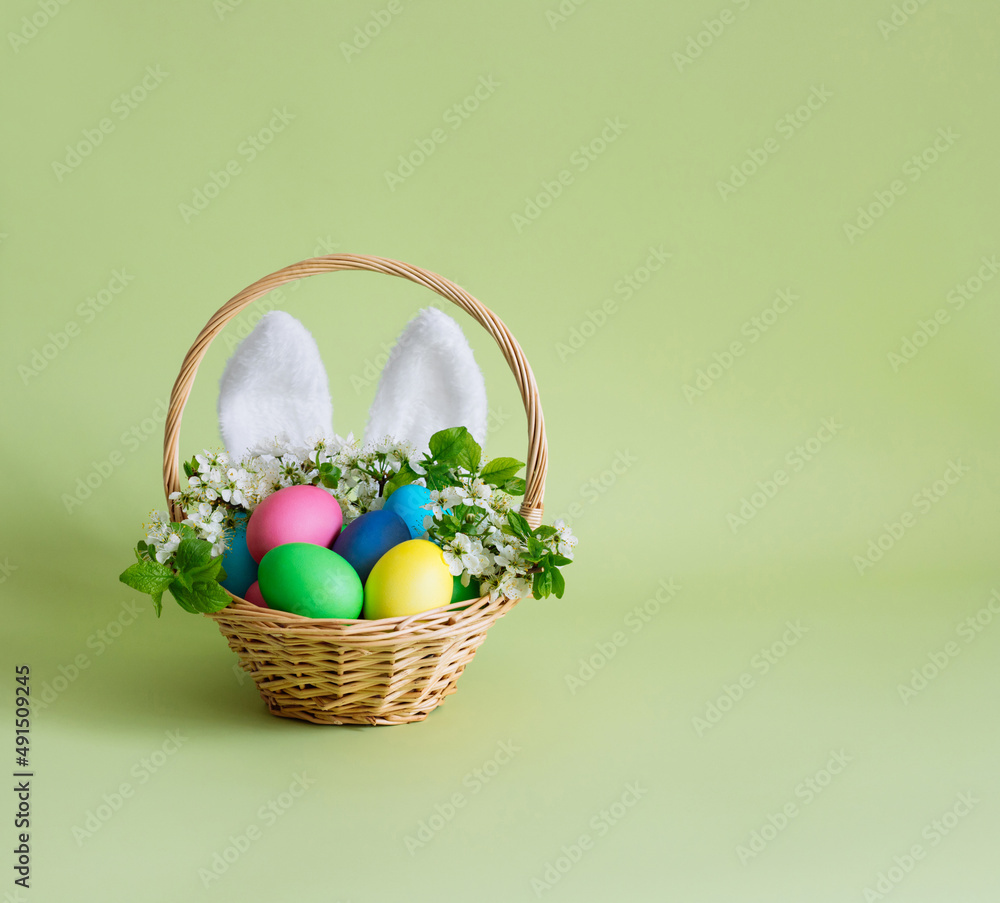 Easter eggs in a basket, bunny ears and cherry blossoms on green background. Easter cute greeting card. Space for text.
