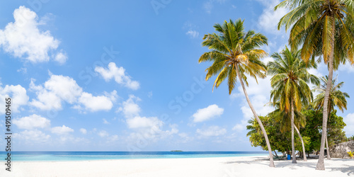 Tropical beach panorama with palm trees photo
