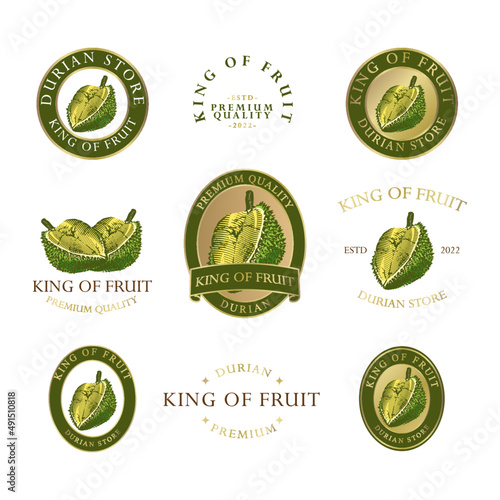 DURIAN FRUIT LOGO PREMADE EDITABLE TEMPLATE