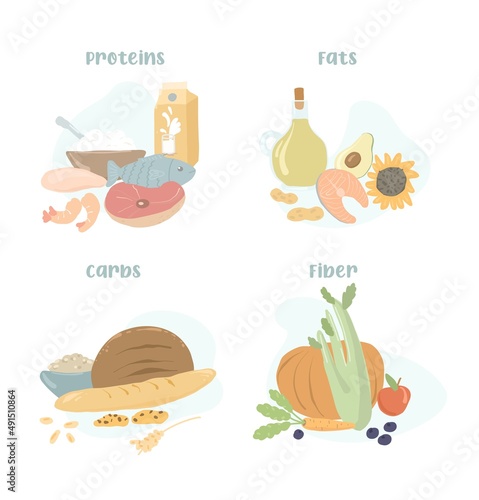 A set of macronutrients. Proteins, fats, carbohydrates and fiber in the form of food. Food categories. Products vector illustration