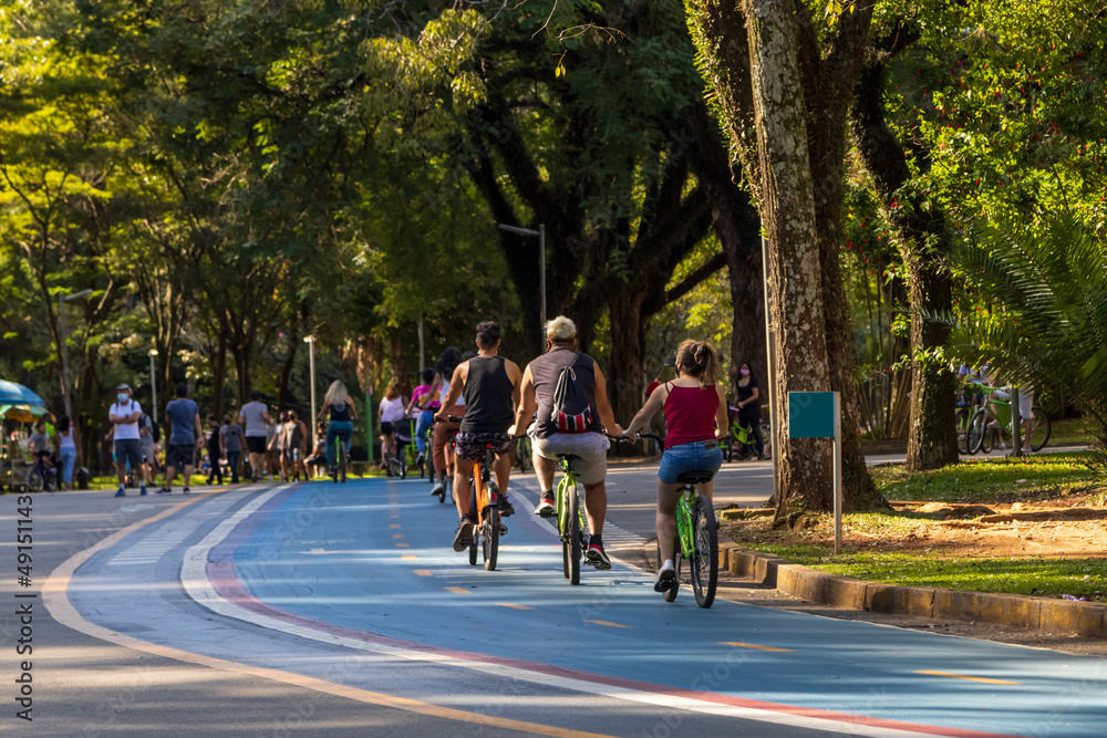 Área verde em São Paulo.
Parque na capital de São Paulo.