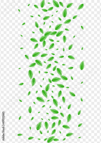 Green Foliage Background Transparent Vector. Sheet Light Texture. Silhouette Illustration. Greenish Copy Frame. Greenery Space.