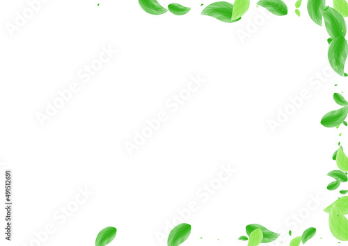 Green Vegetation Background White Vector. Plant Botanical Frame. Vitality Illustration. Greenish Selective Card. Leaves Rustic.