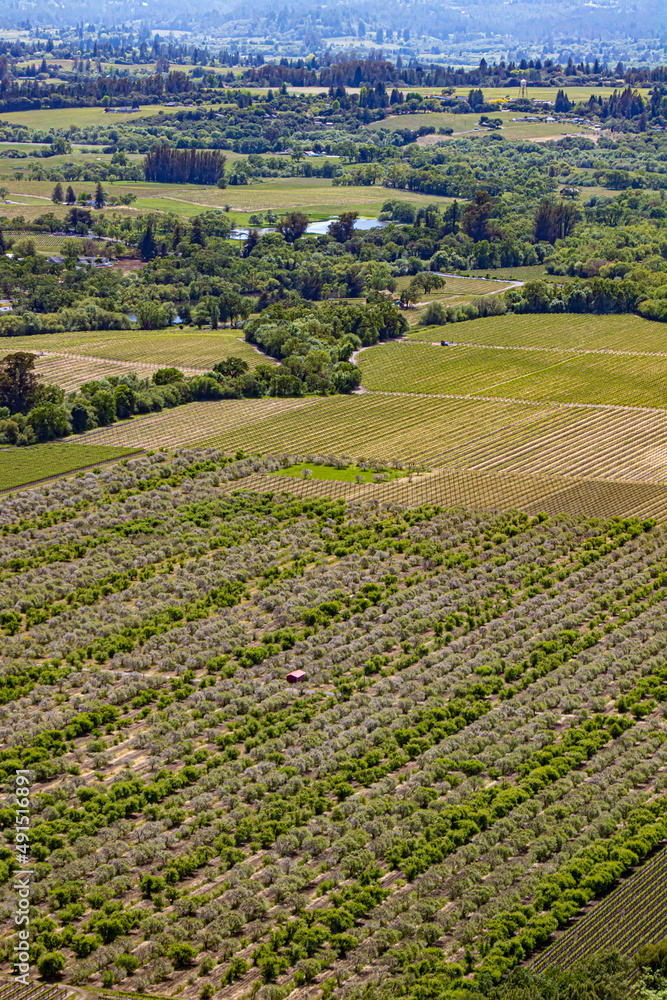 Farmlands and Vineyards Line the Landscape in the Wine Country of Sonoma County, California, USA