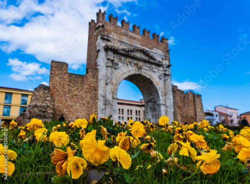 L'arco d'Augusto a Rimini in Italia in primavera con dei fiori gialli in primo piano e il cielo azzurro. Città. Monumento. Marzo.