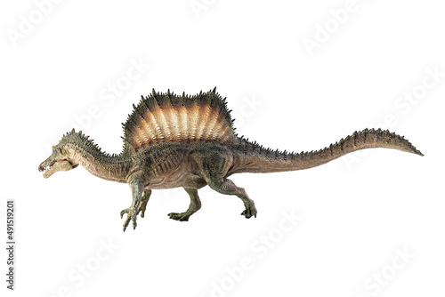 Spinosaurus , dinosaur on white background . © meen_na