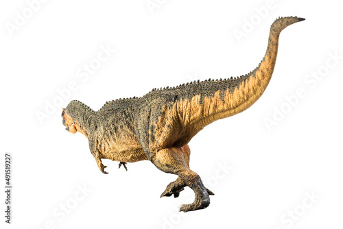 Giganotosaurus   , dinosaur on white background . © meen_na