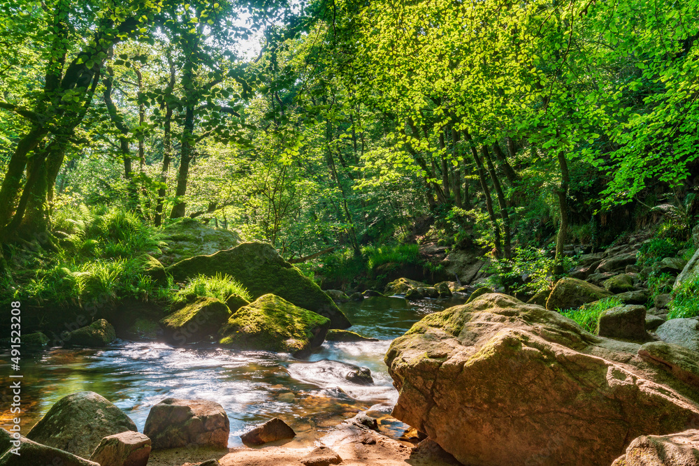 Golitha Falls,summertime rocks and flowing waters,Liskeard,Cornwall,England,UK Golitha Falls,summertime rocks and flowing waters,Liskeard,Cornwall,England,UK