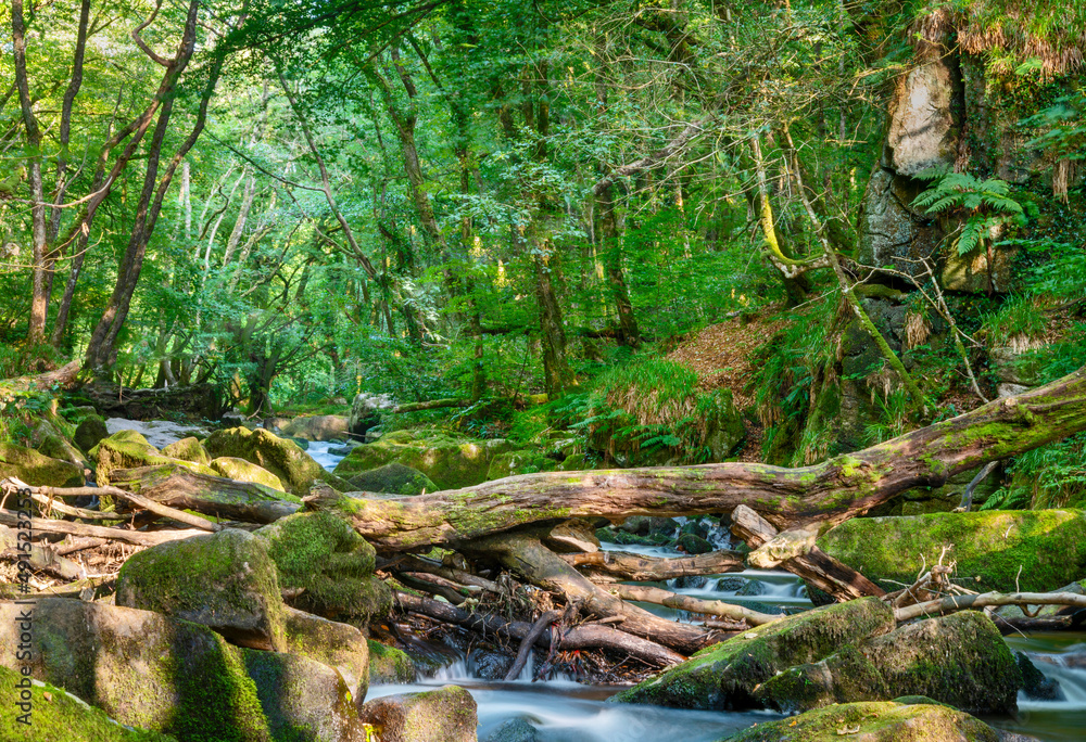 Golitha Falls,summertime rocks and flowing waters,Liskeard,Cornwall,England,UK Golitha Falls,summertime rocks and flowing waters,Liskeard,Cornwall,England,UK