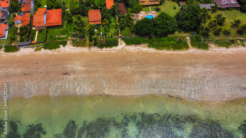 landscape with flowers