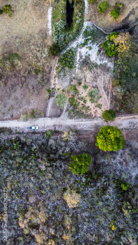 waterfall in the forest