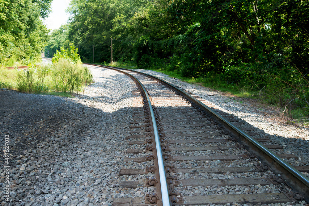 Railway in the summer forest on a sunny day among green trees