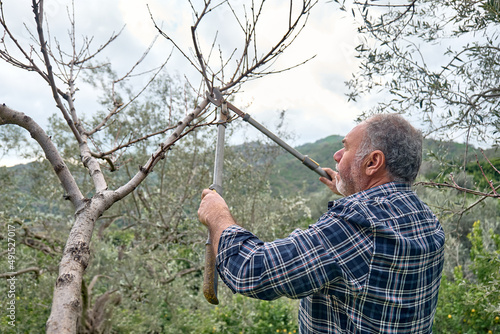 Seasonal pruning of trees. Mature bearded gardener pruning fruit trees with long pruning shears in the orchard. Taking care of garden. Cutting tree branch. Spring gardening.