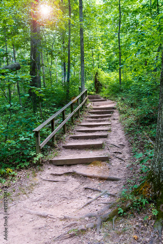 Dirt road with steps through a dense forest with sun rays.