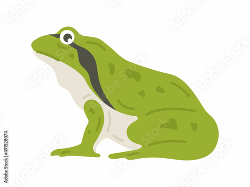 横から見た、アマガエルのイラスト
