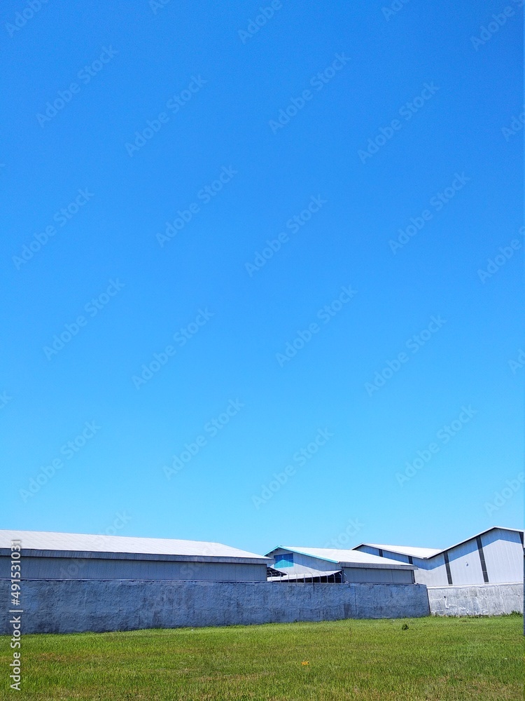 Fototapeta premium plane on the sky