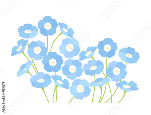 ネモフィラをイメージしたイラスト