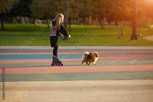 Little beautiful girl on roller skates walks a pomeranian puppy in the park