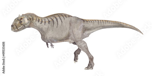 マジュンガサウルス　白亜紀後期の終り頃、現在のマダガスカルに生息していた恐竜。ケラトサウルス下目の獣脚類でアベリサウルス科。学名はマダガスカルの州都であるマジュンガ州の近くで発見されたことに因んでいる。ティラノサウルスのようなセレーションの刻まれたステーキ用ナイフのような歯を持っていた。頑丈な頸椎、軽量化された骨格をもち、全長8メートルの体格と強い筋力があり大型の獲物を捕食。 photo