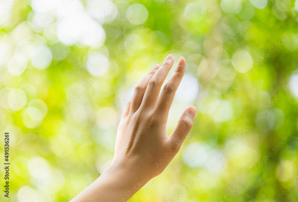 Female hand touching leaf of nature with sunlight. Green environment mangroves forest background. Global warming environment concept. Sustainable coexistence between man and nature Female hand touching leaf of nature with sunlight. Green environment mangroves forest background. Global warming environment concept. Sustainable coexistence between man and nature