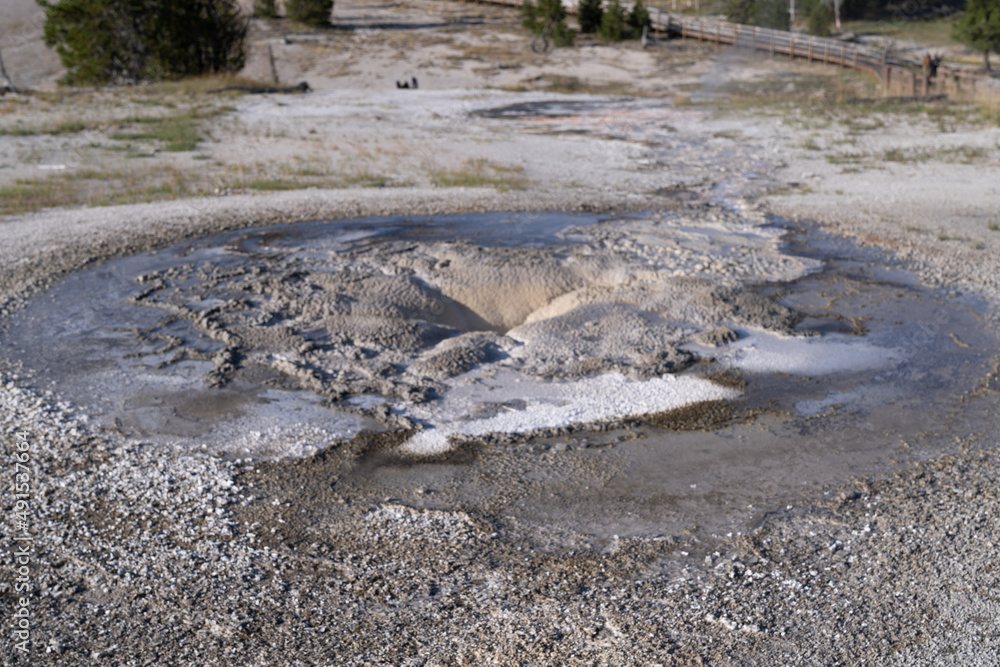 Tardy Geyser in Yellowstone National Park on a sunny day Tardy Geyser in Yellowstone National Park on a sunny day