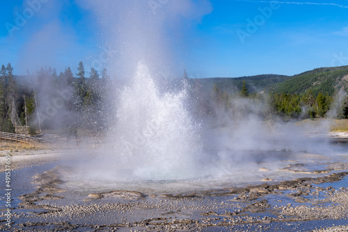 Sawmill Geyser erupts in Yellowstone National Park USA