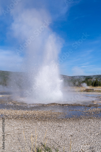 Sawmill Geyser erupts in Yellowstone National Park USA